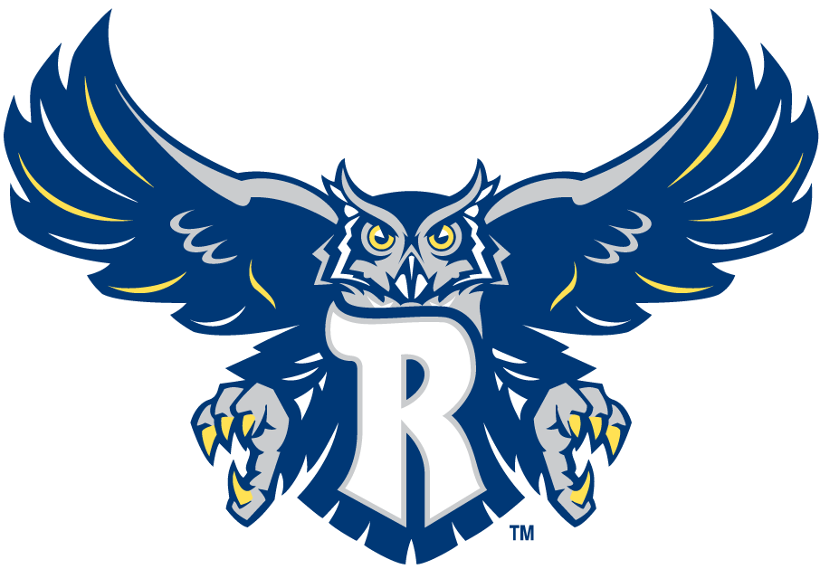 Rice Owls 2003-2009 Alternate Logo DIY iron on transfer (heat transfer)